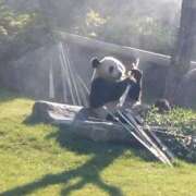 ヒメ日記 2025/06/13 03:00 投稿 みき 奥様特急新潟店