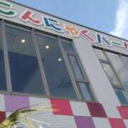 ヒメ日記 2025/07/29 11:20 投稿 みき 奥様特急新潟店