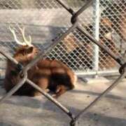 みき １３日木曜日まとめてのお礼✨️ 奥様特急新潟店