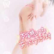 ヒメ日記 2025/02/10 14:50 投稿 みいさ 奥様特急新潟店