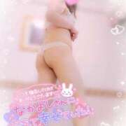 ヒメ日記 2025/11/01 16:30 投稿 みいさ 奥様特急新潟店