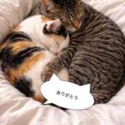 ヒメ日記 2026/03/16 14:50 投稿 ゆい 奥様特急新潟店