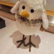 ヒメ日記 2025/01/18 08:43 投稿 ゆかり 奥様特急新潟店