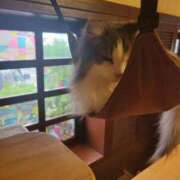 ヒメ日記 2025/03/05 08:30 投稿 ゆかり 奥様特急新潟店