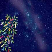 ヒメ日記 2025/07/07 10:54 投稿 ゆかり 奥様特急新潟店