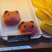 ヒメ日記 2025/11/03 09:50 投稿 ゆかり 奥様特急新潟店