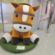 ヒメ日記 2026/02/22 10:50 投稿 ゆかり 奥様特急新潟店