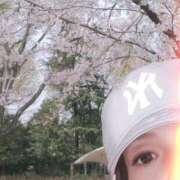 ヒメ日記 2026/04/02 11:43 投稿 まお 熟女の風俗最終章 八王子店