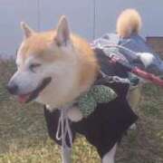 ヒメ日記 2026/04/03 09:15 投稿 まお 熟女の風俗最終章 立川店