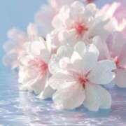 雪野 27日午後。雪野 熟女の風俗最終章　鶯谷店