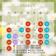 ヒメ日記 2026/05/01 08:02 投稿 聖羅 李白（りぽ）