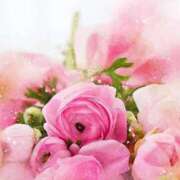 ヒメ日記 2025/05/14 14:05 投稿 ほのか CLUB-ピアチェーレ（キュアズグループ）