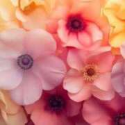 ヒメ日記 2025/05/23 14:50 投稿 ほのか CLUB-ピアチェーレ（キュアズグループ）