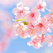 ヒメ日記 2025/05/30 16:37 投稿 ほのか CLUB-ピアチェーレ（キュアズグループ）