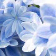 ほのか ありがとうございました♫ CLUB-ピアチェーレ（キュアズグループ）