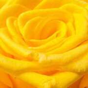 ヒメ日記 2025/01/12 15:11 投稿 かな 石川金沢ちゃんこ