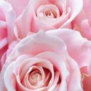 ヒメ日記 2025/01/19 14:55 投稿 かな 石川金沢ちゃんこ