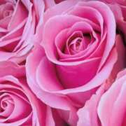 ヒメ日記 2025/01/20 06:15 投稿 かな 石川金沢ちゃんこ