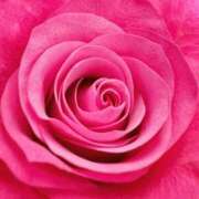 ヒメ日記 2025/01/25 09:55 投稿 かな 石川金沢ちゃんこ