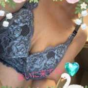 ヒメ日記 2025/01/26 18:06 投稿 かな 石川金沢ちゃんこ