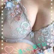 ヒメ日記 2025/02/01 09:44 投稿 かな 石川金沢ちゃんこ