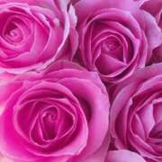 ヒメ日記 2025/02/05 13:05 投稿 かな 石川金沢ちゃんこ