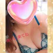 ヒメ日記 2025/02/11 19:54 投稿 かな 石川金沢ちゃんこ