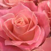 ヒメ日記 2025/02/13 15:05 投稿 かな 石川金沢ちゃんこ