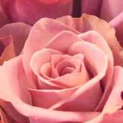 ヒメ日記 2025/02/14 15:05 投稿 かな 石川金沢ちゃんこ