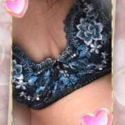 ヒメ日記 2025/02/15 08:15 投稿 かな 石川金沢ちゃんこ