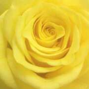 ヒメ日記 2025/02/16 10:38 投稿 かな 石川金沢ちゃんこ