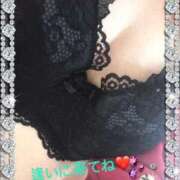 ヒメ日記 2025/02/21 11:05 投稿 かな 石川金沢ちゃんこ