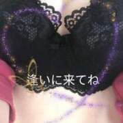 ヒメ日記 2025/02/22 13:15 投稿 かな 石川金沢ちゃんこ