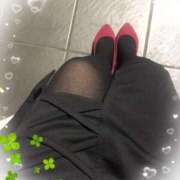 ヒメ日記 2025/02/28 08:45 投稿 かな 石川金沢ちゃんこ