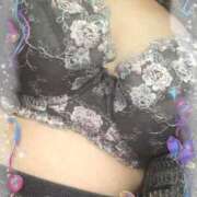 ヒメ日記 2025/03/07 17:05 投稿 かな 石川金沢ちゃんこ