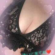 ヒメ日記 2025/03/09 10:45 投稿 かな 石川金沢ちゃんこ