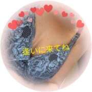 ヒメ日記 2025/03/10 18:23 投稿 かな 石川金沢ちゃんこ