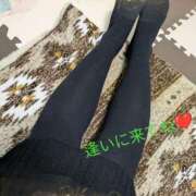 ヒメ日記 2025/03/12 17:02 投稿 かな 石川金沢ちゃんこ