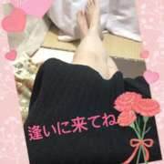 ヒメ日記 2025/03/13 15:41 投稿 かな 石川金沢ちゃんこ