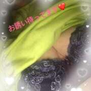 ヒメ日記 2025/03/14 11:55 投稿 かな 石川金沢ちゃんこ