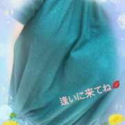 ヒメ日記 2025/03/14 14:30 投稿 かな 石川金沢ちゃんこ