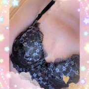 ヒメ日記 2025/03/15 23:15 投稿 かな 石川金沢ちゃんこ