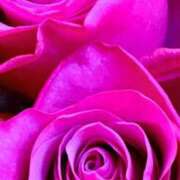 ヒメ日記 2025/03/20 10:15 投稿 かな 石川金沢ちゃんこ