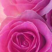 ヒメ日記 2025/03/30 09:25 投稿 かな 石川金沢ちゃんこ