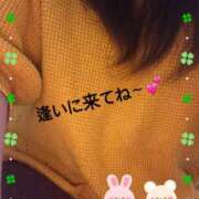 ヒメ日記 2025/04/11 06:15 投稿 かな 石川金沢ちゃんこ