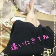 ヒメ日記 2025/05/10 09:48 投稿 かな 石川金沢ちゃんこ