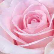 ヒメ日記 2025/05/12 06:25 投稿 かな 石川金沢ちゃんこ