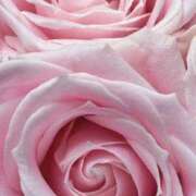 ヒメ日記 2025/06/14 09:45 投稿 かな 石川金沢ちゃんこ