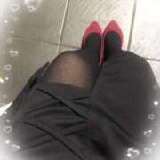 ヒメ日記 2025/06/16 10:15 投稿 かな 石川金沢ちゃんこ