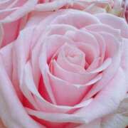 ヒメ日記 2025/06/28 12:25 投稿 かな 石川金沢ちゃんこ